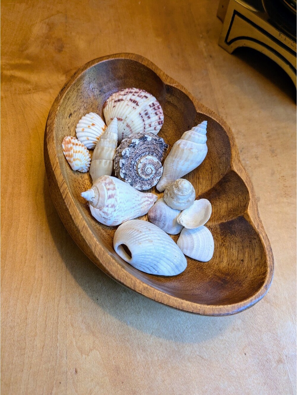 Vintage Carved Solid Wood Scalloped Bowl with Seashell Collection